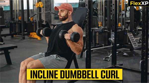 Incline Dumbbell Curl