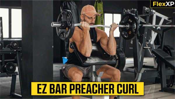 Cable Preacher Curl