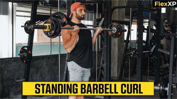Standing Barbell Curl