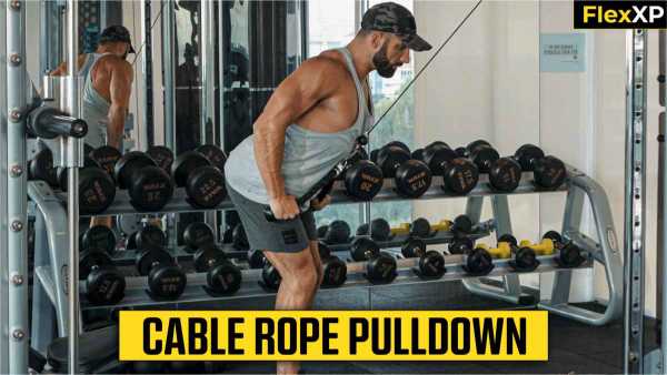 Straight Arm Pulldown
