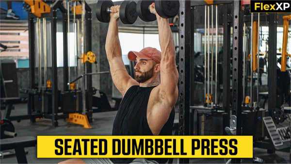 Seated Dumbbell Press